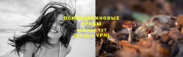 MDMA Premium VHQ Белоозёрский